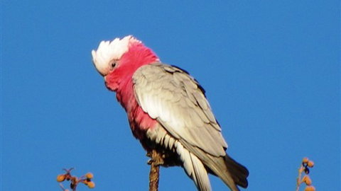 Sweetwater Stays Rural Retreat - Accommodation Great Ocean Road 5