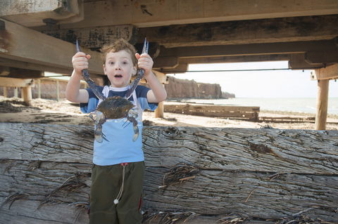 Ardrossan Caravan Park - Accommodation Great Ocean Road 6