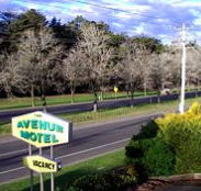 Avenue Motel - Accommodation Great Ocean Road