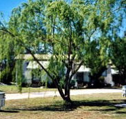 Blue Topaz Caravan Park  Camping Ground - Accommodation Great Ocean Road