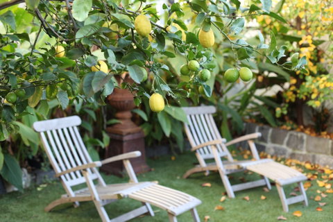 Captains Retreat B&B - Accommodation Great Ocean Road 1