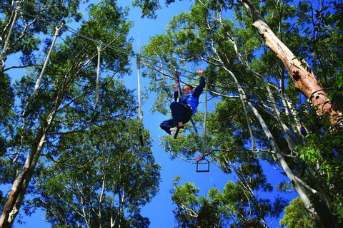 Cedar Creek Lodges At Thunderbird Park™ - Accommodation Great Ocean Road 2