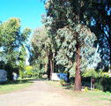 Cudal Caravan Park - Accommodation Great Ocean Road