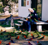 Inland Waters Holiday Parks Burrinjuck - Accommodation Great Ocean Road