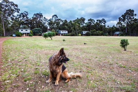 Margaret River Stone Cottages - Accommodation Great Ocean Road 4