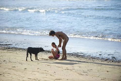 North Coast Holiday Parks Scotts Head - Accommodation Great Ocean Road 2