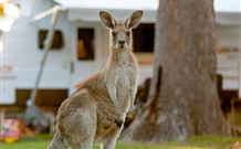 BIG4 Sunshine South West Rocks Holiday Park - South - Accommodation Great Ocean Road 3