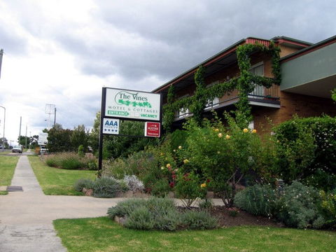 The Vines Motel & Cottages - Accommodation Great Ocean Road 0