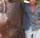 Michael's Clarence Valley Retreat - Accommodation Great Ocean Road