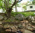Mt Warning Rainforest Park - Accommodation Great Ocean Road