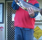Rainbow Pines Tourist Caravan Park - Accommodation Great Ocean Road