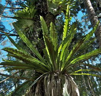 Rummery Park campground - Accommodation Great Ocean Road