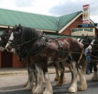 Araluen Valley Hotel - Araluen - Accommodation Great Ocean Road