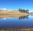 Bombala Maneroo Motel - Bombala - Accommodation Great Ocean Road