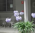 Pine Lodge Motel - Woolgoolga - Accommodation Great Ocean Road