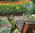 The Carrington Inn - Accommodation Great Ocean Road