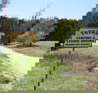 Tuena Camping and Picnic Ground - Accommodation Great Ocean Road