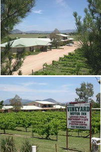 Mudgee Vineyard Motor Inn - Accommodation Great Ocean Road 0