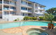 Pandanus Coolum Beach - thumb 4