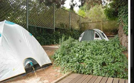 The Flying Fox Backpackers - Accommodation Great Ocean Road 2