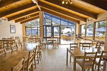 Surf City Motel - Accommodation Great Ocean Road 5