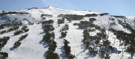Thredbo Alpine Hotel - Accommodation Great Ocean Road