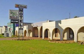 Citrus Motel - Accommodation Great Ocean Road 0