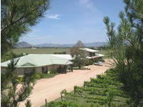 Mudgee Vineyard Motor Inn - Accommodation Great Ocean Road 1