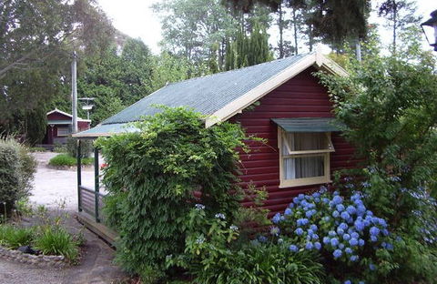 Cedar Lodge Cabins - Accommodation Great Ocean Road 0