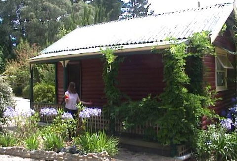 Cedar Lodge Cabins - Accommodation Great Ocean Road 1
