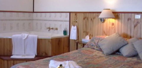 Cedar Lodge Cabins - Accommodation Great Ocean Road 2