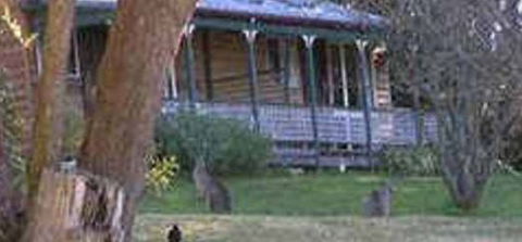 Cedar Lodge Cabins - Accommodation Great Ocean Road 3