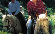 Cooby Springs Country Retreat - Accommodation Great Ocean Road 1