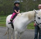 Mansfield Cottage Barrington Tops Accommodation - Accommodation Great Ocean Road