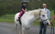 Mansfield Cottage Barrington Tops Accommodation - Accommodation Great Ocean Road 0