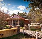 Starline Alpaca Farm Stay - Accommodation Great Ocean Road