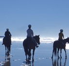 Whispering Brook - Accommodation Great Ocean Road