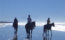 Whispering Brook - Accommodation Great Ocean Road 0
