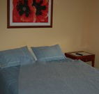 Busy Buzz - Accommodation Great Ocean Road