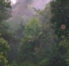 Havans Ecotourist Retreat - - Accommodation Great Ocean Road
