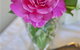 Newcastles Bed And Breakfast - thumb 3