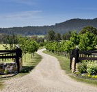 Pemberley Grange Hunter Valley Getaway - Accommodation Great Ocean Road