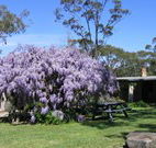 Studio Cottages - Accommodation Great Ocean Road