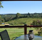 The Shed B and B - Accommodation Great Ocean Road