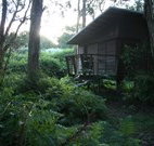 Mount Seaview Resort - Accommodation Great Ocean Road