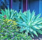 Retreat Homestead - Accommodation Great Ocean Road