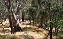 Wagon Wheel Motel And Units - Accommodation Great Ocean Road 6