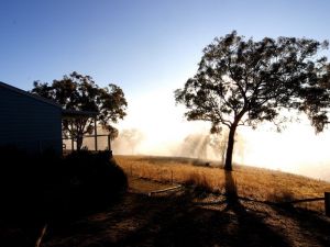 Yellowbox Country Cabins - Accommodation Great Ocean Road 5