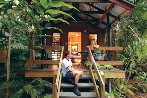 Cape Tribulation  - Accommodation Great Ocean Road 0