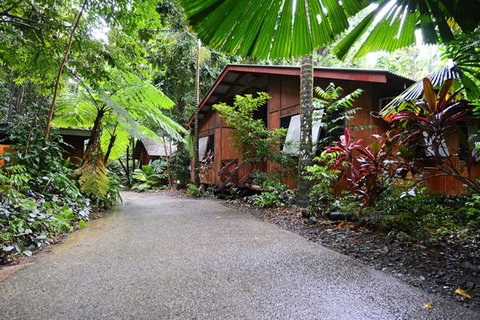 Cape Tribulation  - Accommodation Great Ocean Road 4